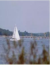 Sailing & Fishing 